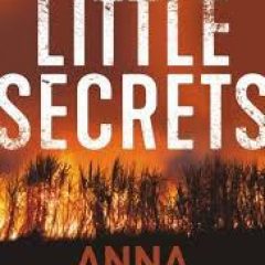 Beauty and Lace Book Review: Little Secrets by Anna Snoekstra