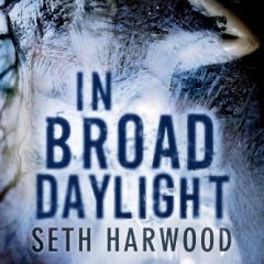 In Broad Daylight – A Jess Harding Novel by Seth Harwood