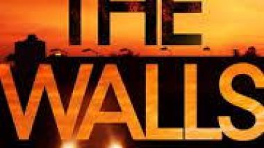 Book Review: The Walls by Hollie Overton