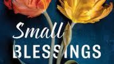 New Release Book Review: Small Blessings by Emily Brewin