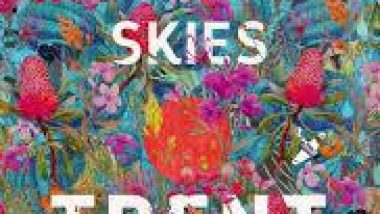 New Release Book Review: All Our Shimmering Skies by Trent Dalton