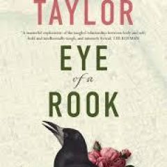 Beauty & Lace Book Review: Eye of a Rook by Josephine Taylor